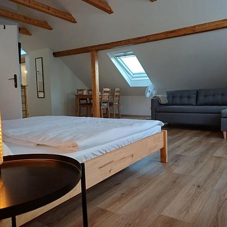 Loft Apartment 卡罗维发利 外观 照片