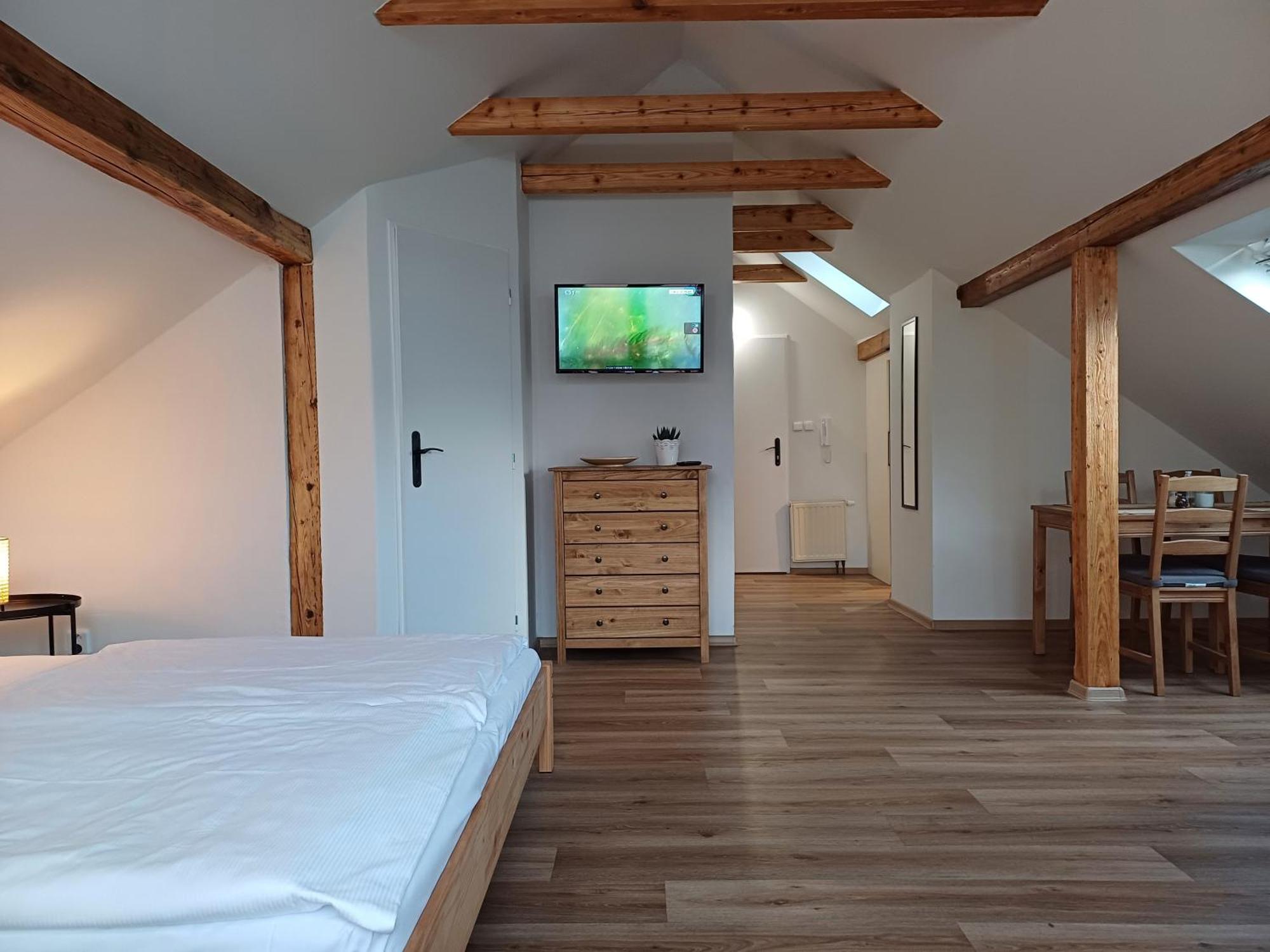 Loft Apartment 卡罗维发利 外观 照片