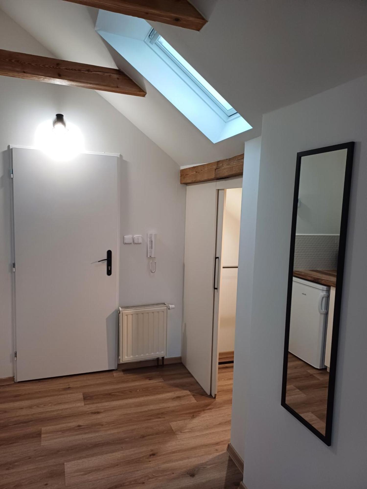 Loft Apartment 卡罗维发利 外观 照片