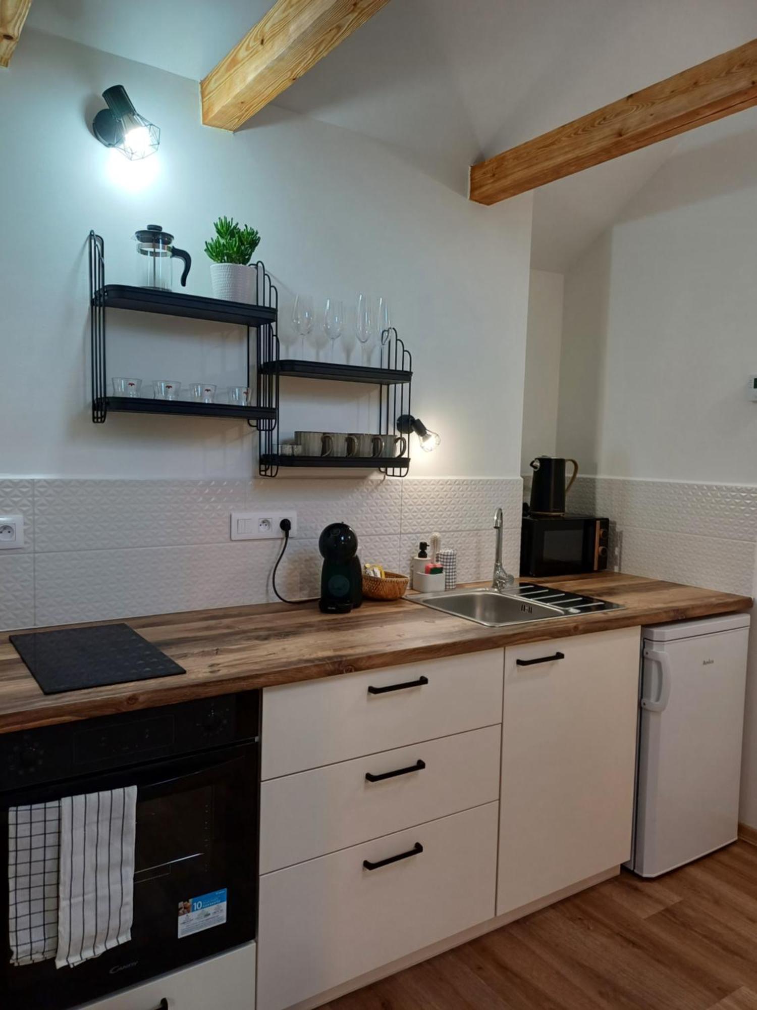 Loft Apartment 卡罗维发利 外观 照片