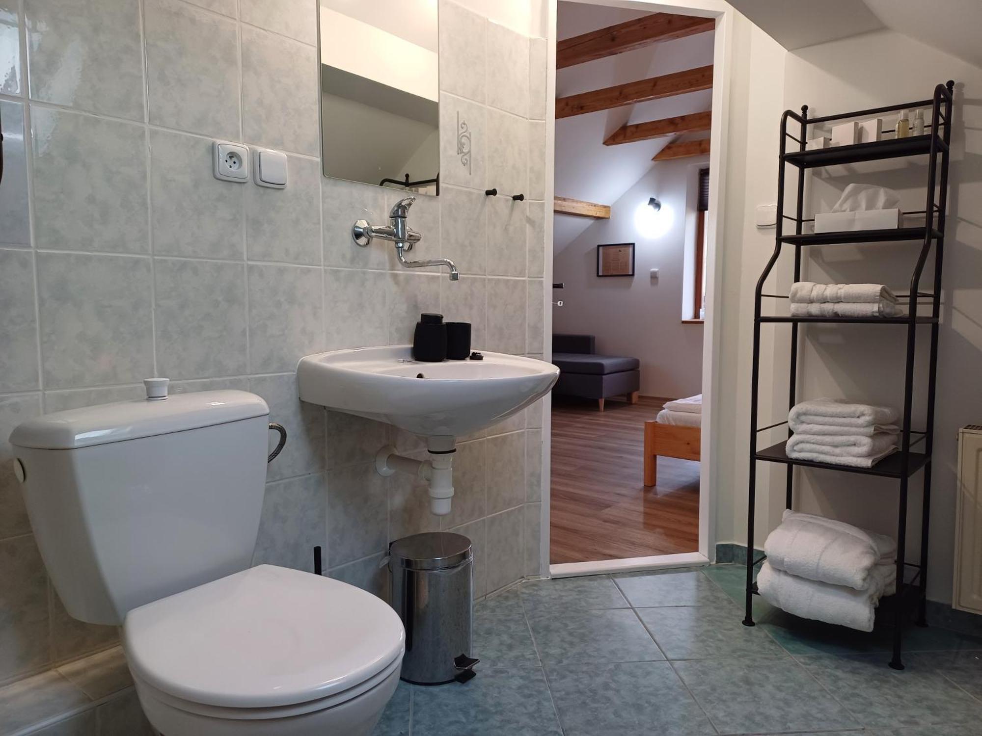 Loft Apartment 卡罗维发利 外观 照片