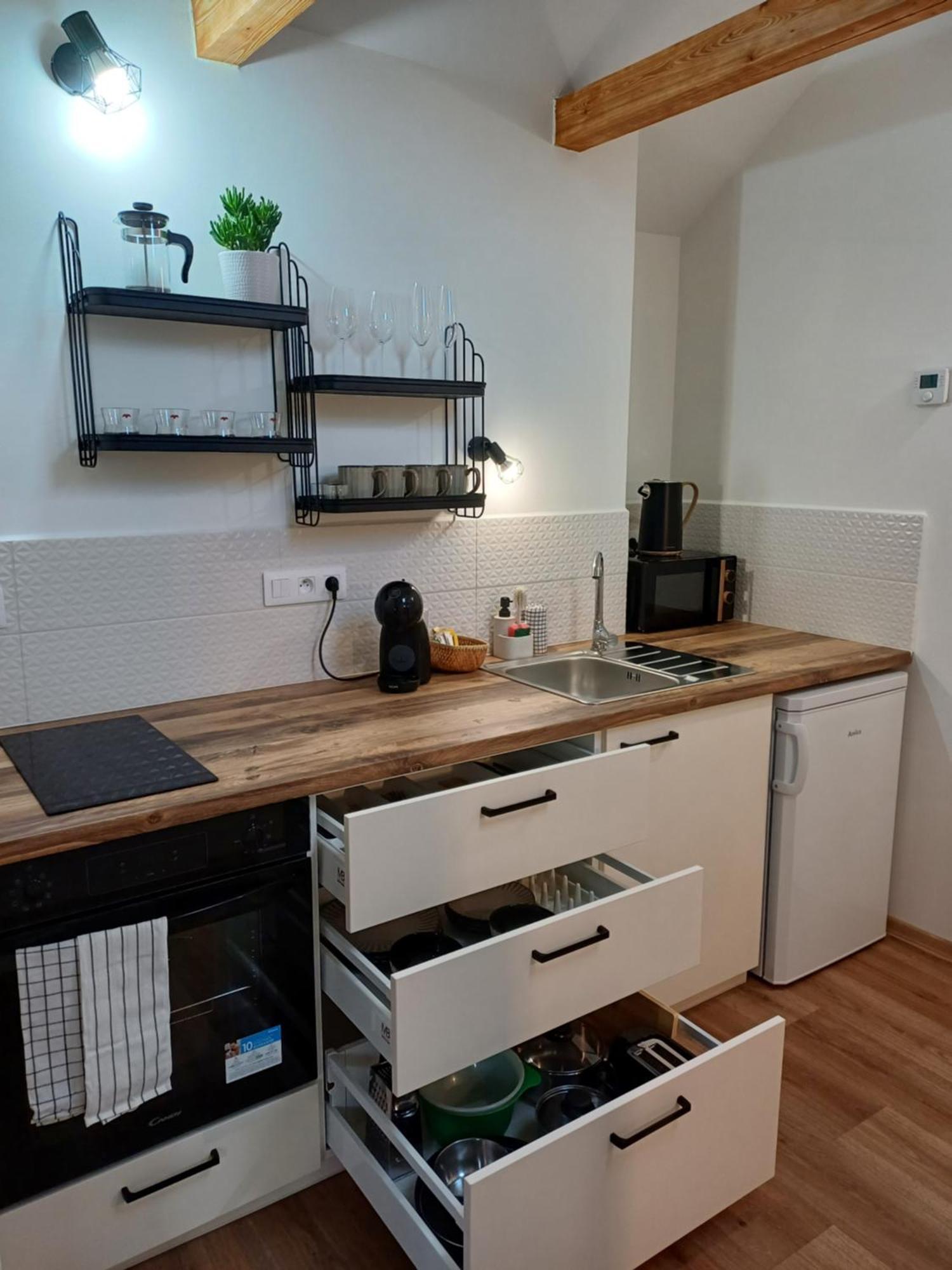 Loft Apartment 卡罗维发利 外观 照片